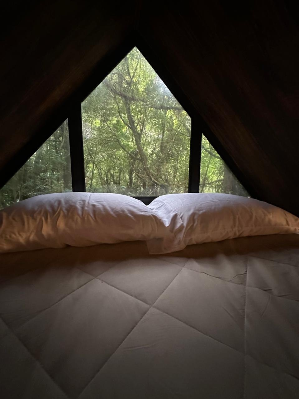 Fondo de cama
