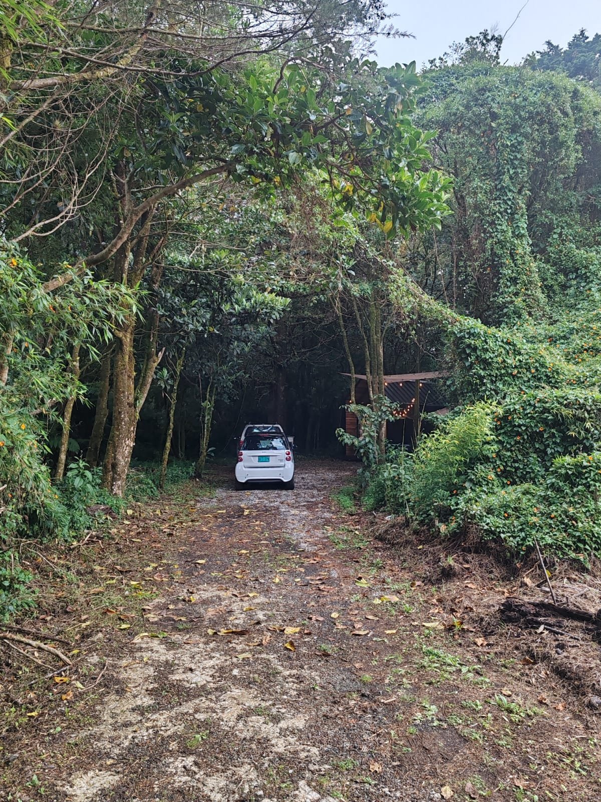 Acceso al tiny en montaña